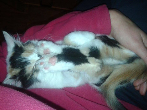 Zoe, adottata da Elena