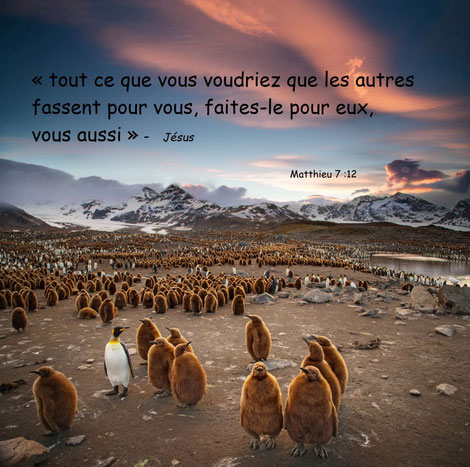 Jésus est reconnu dans le monde entier comme le prophète de l’Amour. Qui n’a jamais entendu parler de la règle d’or de Jésus-Christ ? Matthieu 7 :12 : « tout ce que vous voudriez que les autres fassent pour vous, faites-le pour eux, vous aussi »