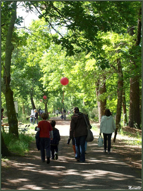 Un des sentiers de promenade du Parc de la Chêneraie à Gujan-Mestras (Bassin d'Arcachon)