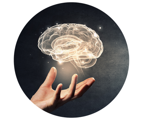 NeuroCoaching mit Martin Hermann