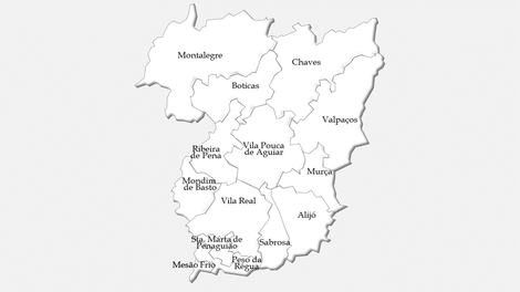 Concelhos do distrito de Vila Real