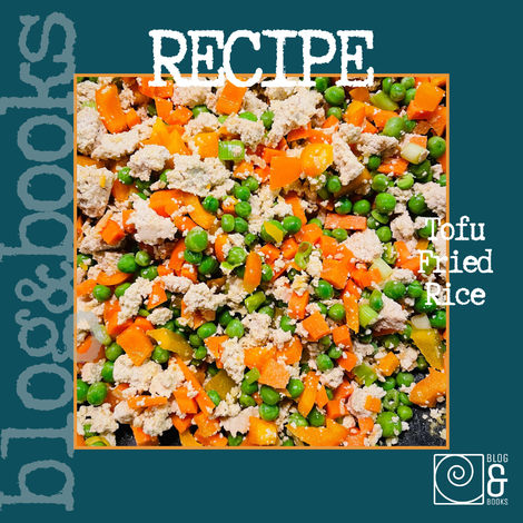 Close up photo of tofu fried rice