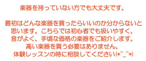 楽器を持っていない方でも大丈夫です。  最初はどんな楽器を買ったらいいのか分からないと思います。こちらでは初心者でも扱いやすく、音がよく、手頃な価格の楽器をご紹介します。 高い楽器を買う必要はありません。 体験レッスンの時に相談してください(*^_^*)