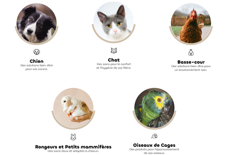 biovetol-bien-etre-animaux-de-compagnie-chien-chat-naturel-bio-antiparasitaire-alpgpsante