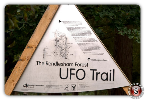 Rendlesham forest