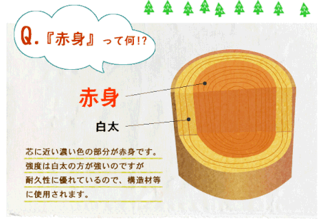 能登ヒバの赤身には天然の成分がギュッと詰まっています。