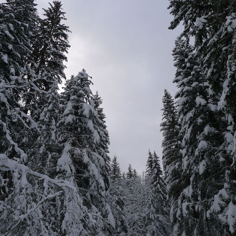 © photo Nicolas Dépagne