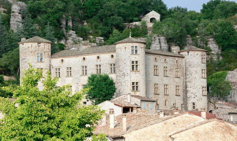 Château de Voguë