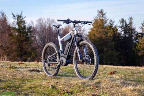 Bikevorstellung Riese & Müller Delite mountain 2019