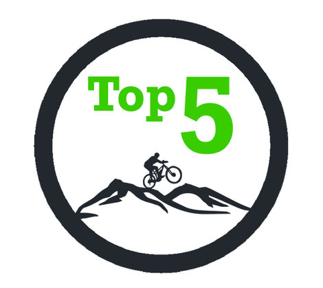 Top 5 e-MTBs in 2020