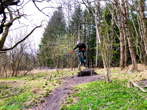 Unbefestigte Wege mit dem Specialized Levo Comp erkunden