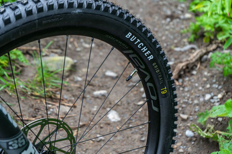 Butcher Grid Trail Reifen