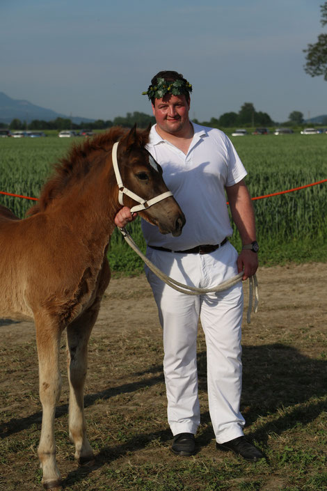 Mit dem Fohlen Casanova am Seeländischen Schwingfest