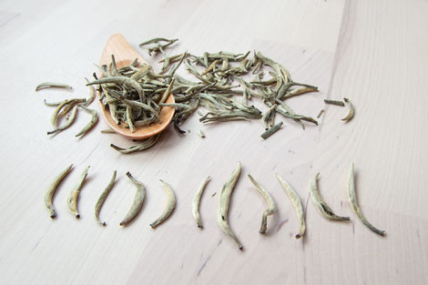 Té blanco Silver Needle