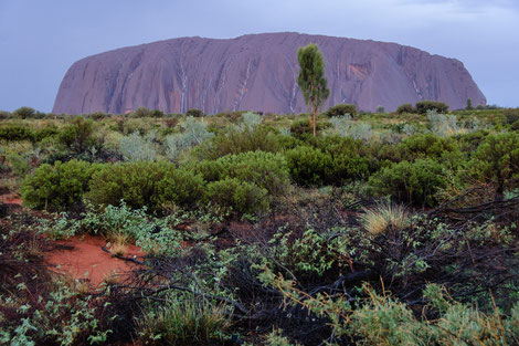 Uluru, Ayers Rock, Australien