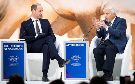 Sir David Attenborough addressing the World Economic Forum at Davos in 2019.