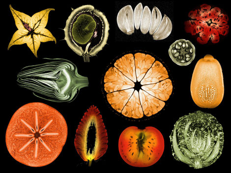 Alexandr Khrapichev, 'Collage of Mixed Fruits and Vegetables'.