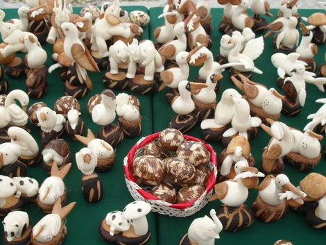 Tagua - weisses Elfenbein Workshops