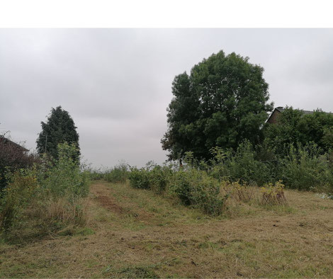 pépinière Planteurs d'Avenir plants