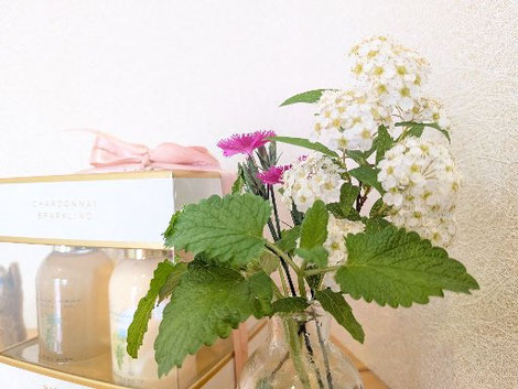 北九州・小倉・戸畑のマッサージ店「ほぐし専科てもみじ」。足つぼと揉みほぐしを組み合わせた集中ケアのイメージ。