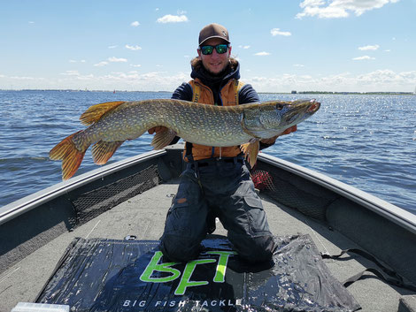 Spin fishing in Holland - Guide Luca Nardin with pike on Lund Boat at Volkerak Oude Tonge, Netherlands