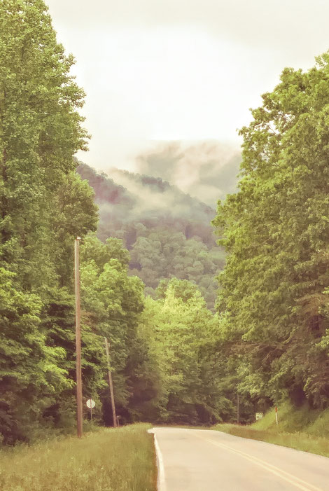 Road through the Blue Ridge Mountain leading to Hambidge. Photo by Robin Israel.