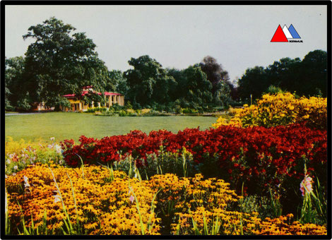 Postkarte  A.P. Walther Radebeul - Friedensburg      Die Sommerblumenwiese der Agra in Markkleeberg.