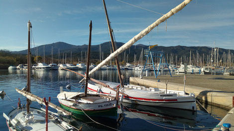 Marche randos canetoises à Argelès sur le baladoire du Casino vers le port et le Racou le 13 février 2018