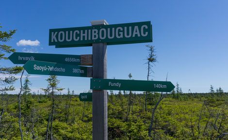 Dans le Parc National de Kouchibouguac