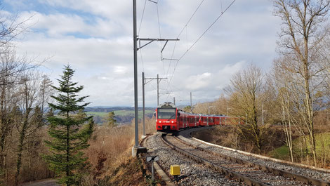 Die Uetlibergbahn passiert im obersten Abschnitt eine herrlich ländliche Szenerie