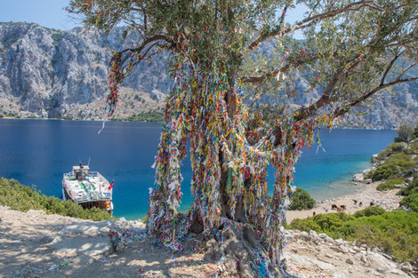 Boat trip with colorful bracelets at a tree and thirsty goats in the background