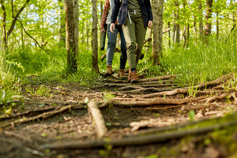 Radiant Reality Blog | Stress and High Cortisol - Bathing in the Woods