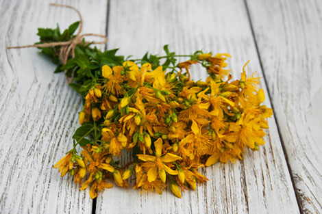 Radiant Reality Nutrition Blog | Anxiety and Depression | St Johns Wort