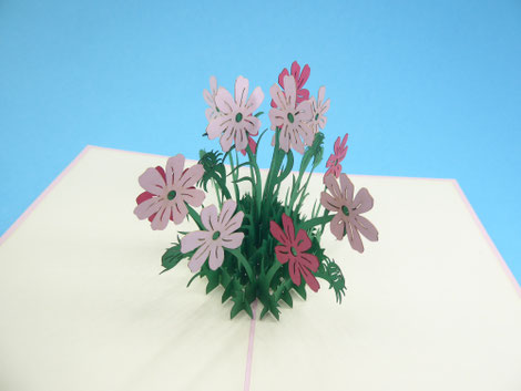 Carte postale pop-up fleurs cosmos