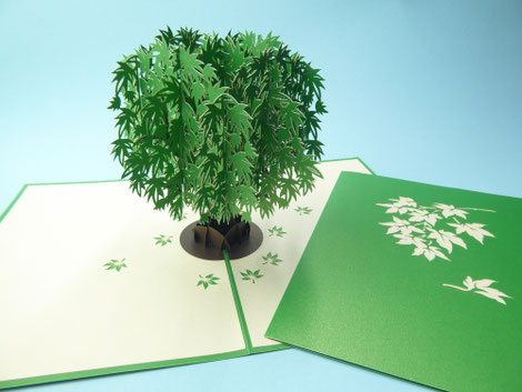 Carte pop-up érable feuillage vert pour la fête des pères