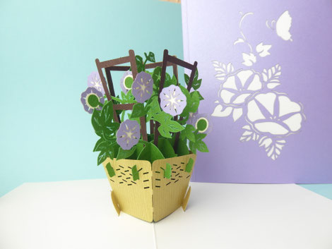 Carte pop-up ipomée volubilis liseron fleurs mauves
