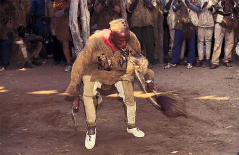 Pantomime de chasse d'un maître-chasseur avec sa “queue de magistère” (improprement appelée chasse-mouche). © P. Kersalé 1996-2025.