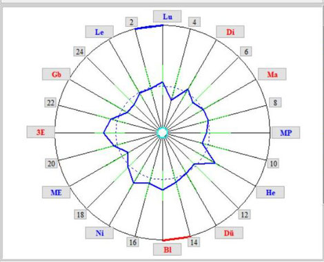 die Meridianuhr zur Analyse von Krankheiten