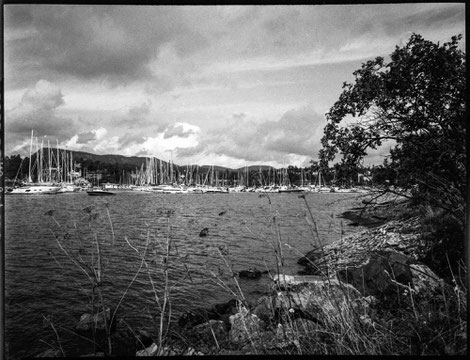 Fjord in Oslo