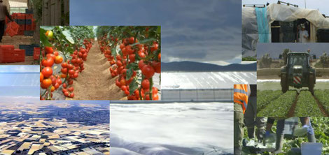 Fotocollage Gemüse- und Obstanbau Almeria