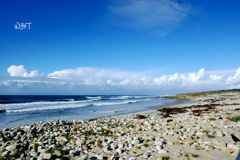 At 17-Mile Drive, Pebble Beach CA.