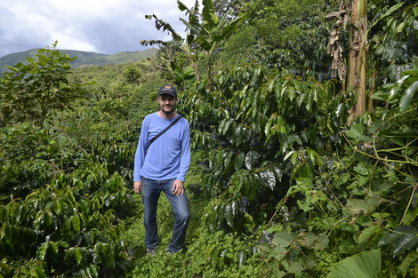 prem frischkaffee roaster and ecuadorian coffee plants 
