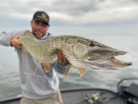 Hechtangeln im Frühjahr mit dem Reel Shad 13cm
