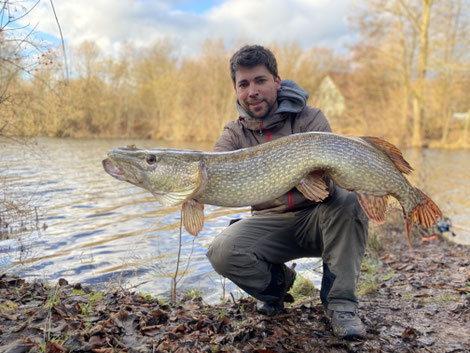 großer Hecht gefangen im Frühjahr mit dem Reel Shad 13cm Farbe PSC von Reel Busy Fishing