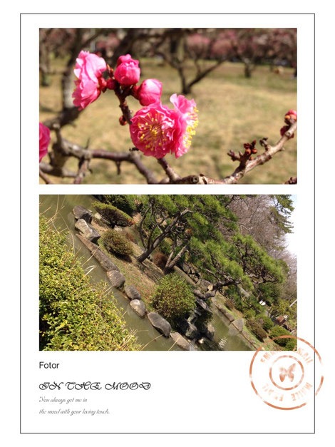服部緑地公園