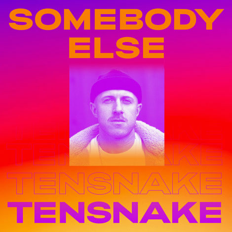 Tensnake