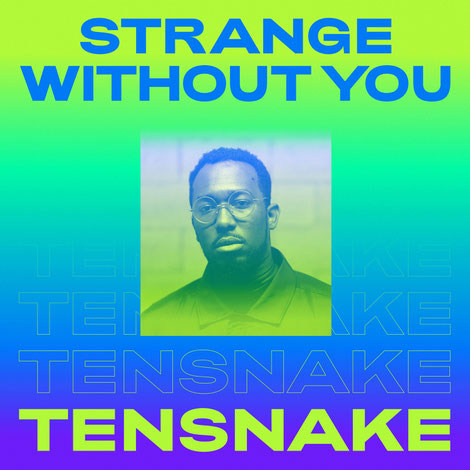 Tensnake