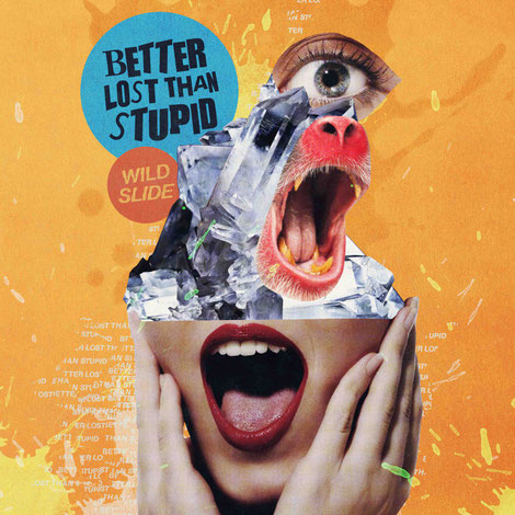 Better Lost Than Stupid