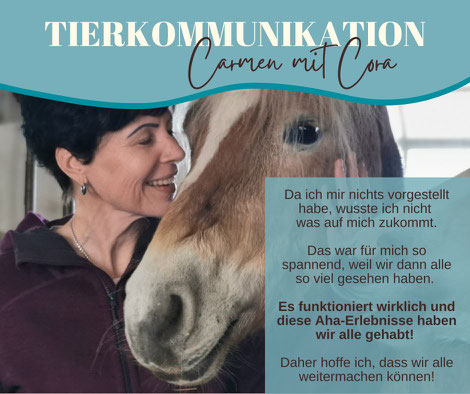 Frau lächelt Haflinger-Stute mit weißer Blässe zu