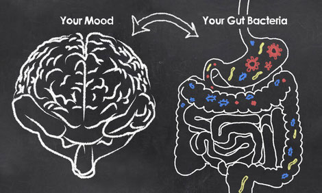 Disturbances in the gut can influence our brain. In fact studies have repeatedly demonstrated that altered brain-gut-microbiota interactions result in things like autism, anxiety, depression and Parkinson’s